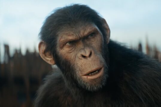 kingdom of the planet of the apes ibomma